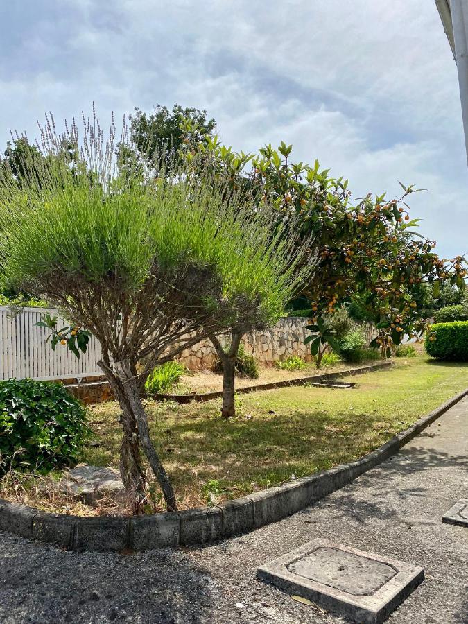 Vila Valica Gardens Savudrija Exteriér fotografie